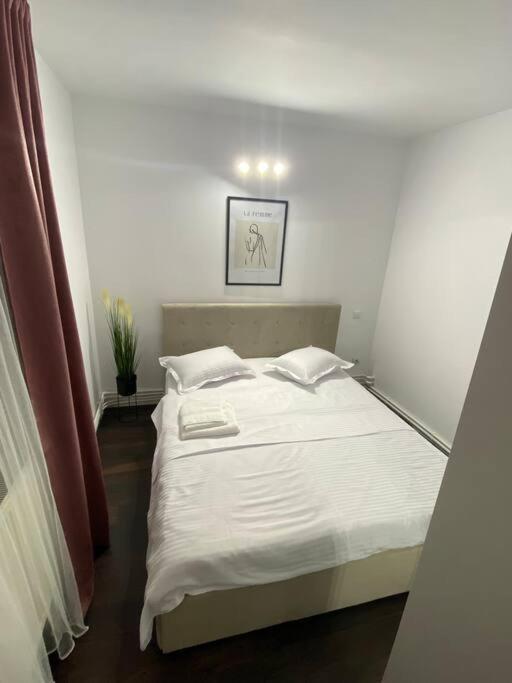Eda Apartment Bistrita  Ngoại thất bức ảnh
